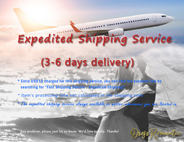 Fast Shipping Service - Expedited Shipping (Worldwide)  -Custom Additional Cost