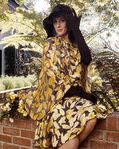 Julie Andrews Portrait Pose Circa 1970 16x20 Canvas - $69.99