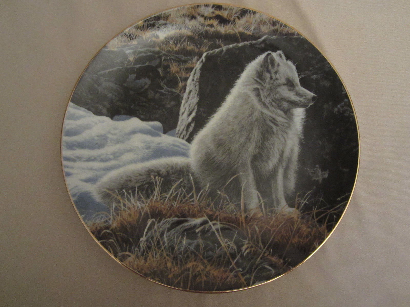 ARCTIC FOX Collector Plate NORTHERN MORNING Ron Parker NATURE'S QUIET MOMENTS - $39.20