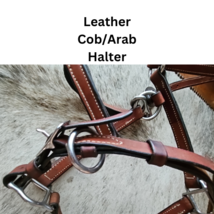 Leather Cob Arab Size Halter Stainless Hardware Doubled and Stitched USED image 3