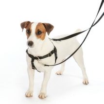 2Hounds Freedom No Pull Dog Harness Large & Training Lead - NEW BFF Earth Style image 4