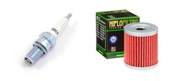 Oil Filter NGK Spark Plug Tune Up Kit For Suzuki Quadrunner 250 300 LT30... - $11.00