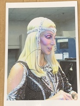 Cher Hand-Signed Autograph 15x20 With Lifetime Guarantee - $125.00