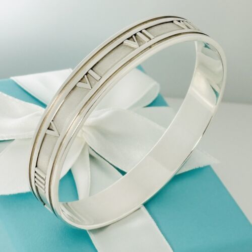 Tiffany & Co Sterling Silver Bracelet Necklace Link Oval Clasp