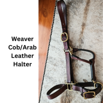 Weaver Cob - Arab Leather Halter Brass Fittings med oil with chain lead USED image 2