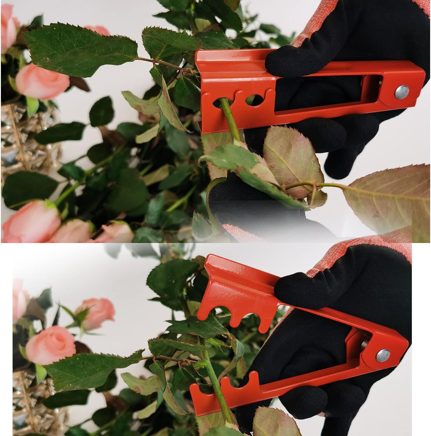 Craftsman Ratchet Garden Shears Long Curved Handle Trees Branch Pruners -  China Pruning Scissors and Hand Pruner price