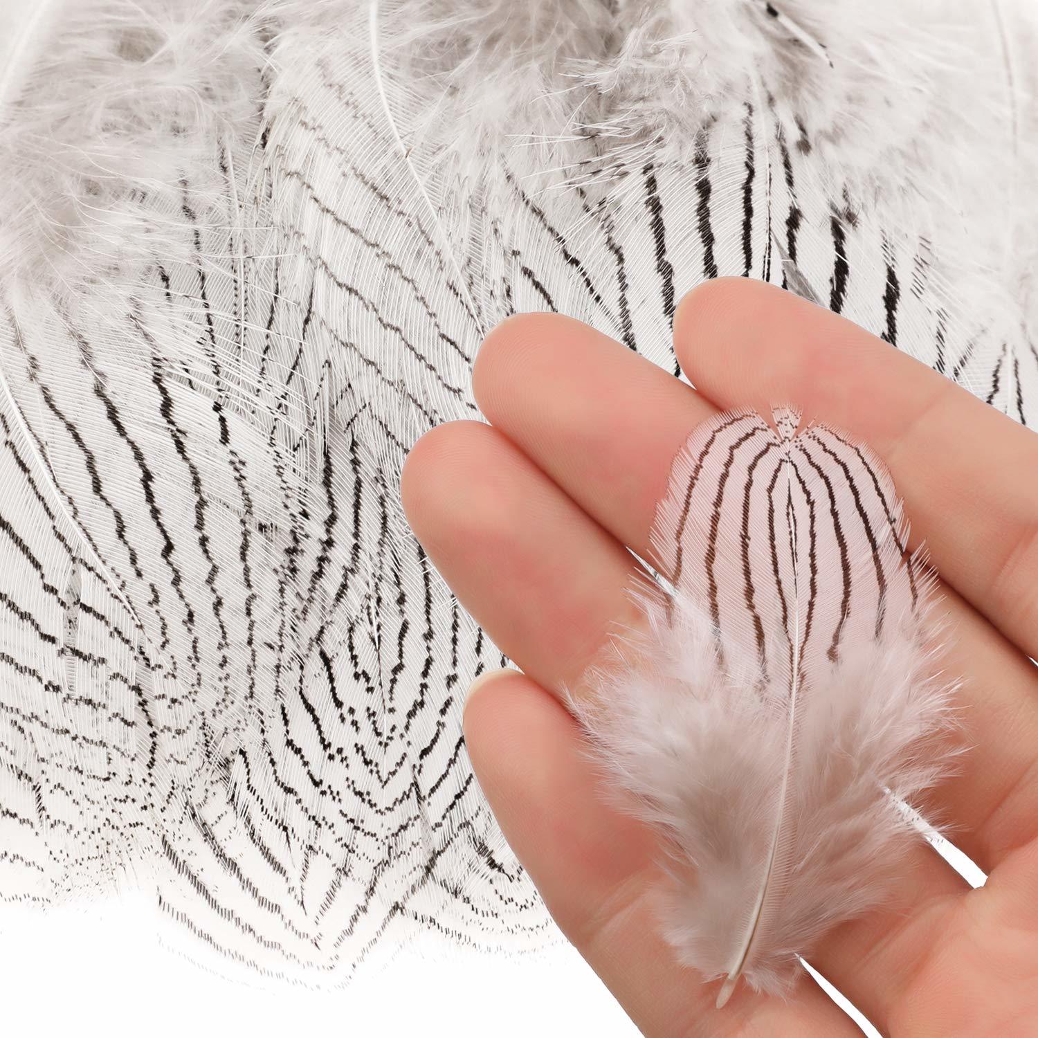 50pcs 10-15cm Natural Home Decor Ostrich Feathers for Home Wedding Xmas Party de