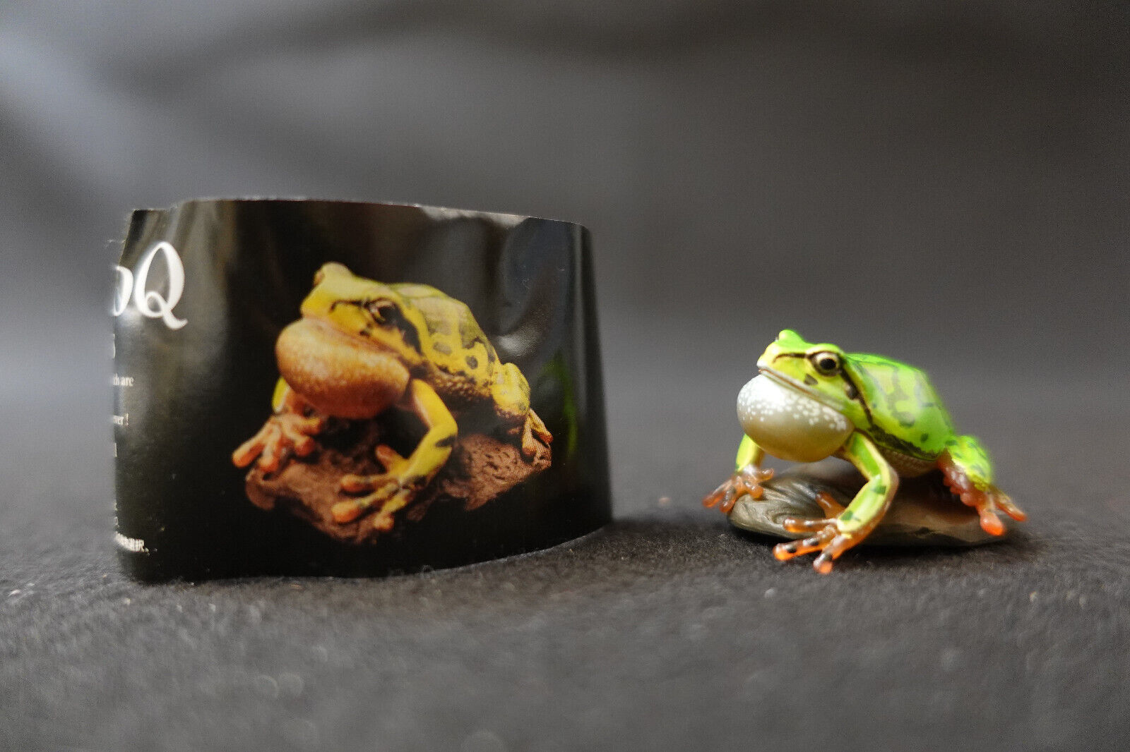 Kaiyodo Animatales Choco Q Series 11 249a Japanese Tree Frog B Figurines