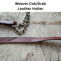 Weaver Cob - Arab Leather Halter Brass Fittings med oil with chain lead USED image 5