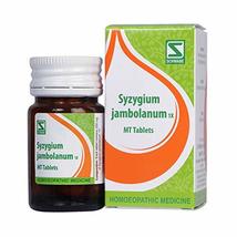 Dr Willmar Schwabe India Syzygium Jambolanum Trituration Tablet 1X - $13.75