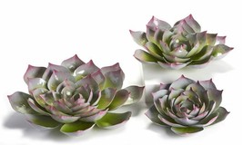 Succulent Flower Wall Plaques Metal Set 3 with Colored Tips Garden Fence Floral
