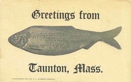 Greetings From Taunton Fish Divided Back 1909 Mass MA VTG P103 - $21.77
