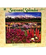 Seasonal Splender Puzzle Grand Tetons 1000 piece 22 9/32&quot; x 25 9/16&quot; - $5.94