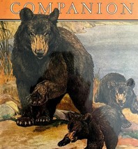 Bear With Cubs 1928 Youth&#39;s Companion Lithograph Cover Art Charles Bull ... - $49.99
