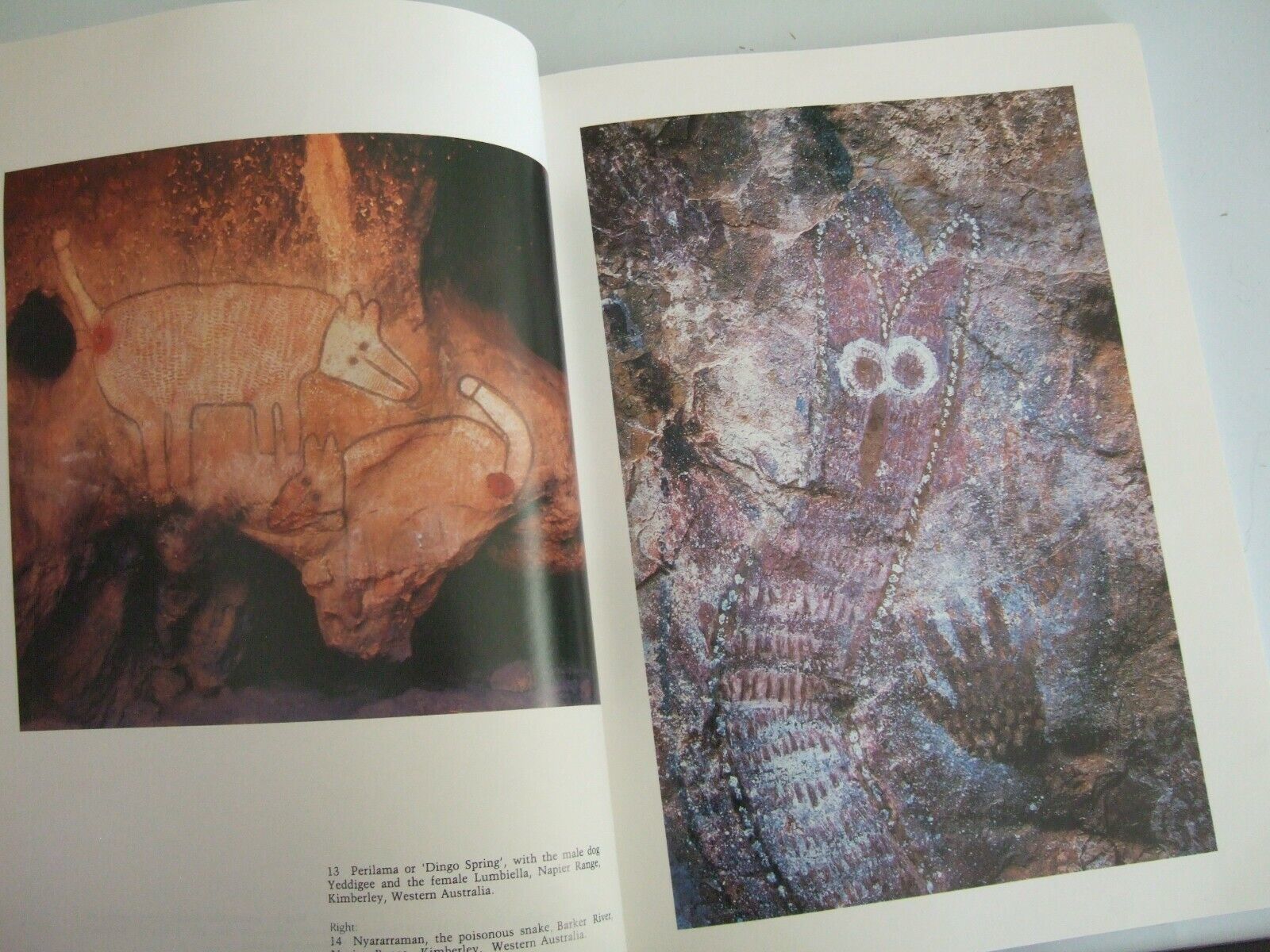 ROCK PAINTINGS OF ABORIGINAL AUSTRALIA ~ ELAINE GODDEN & JUTTA MALNIC ...