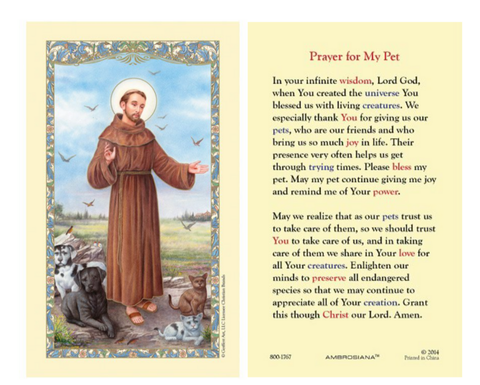 Laminated St. Francis of Assisi "Prayer for My Pet" Holy Prayer Card