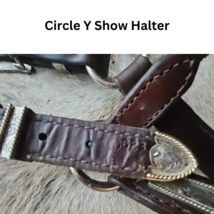 Circle Y Silver Show Halter Horse Size Dark Oil USED image 7