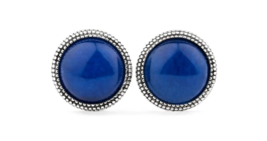 Paparazzi Desert Dew Blue Post Earrings - New - $4.50