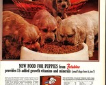 1963 Friskies Puppies Food Ad   Cocker Spaniel Puppy Dogs nostalgic b8