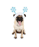 Time for Joy Merry-n-Bright Light Up Snowflake headband for Dogs, Small/... - $4.99
