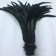 15Pcs Natural Turkey Feather, 10-11 Inches Wild Turkey Feathers for Craft  Costum