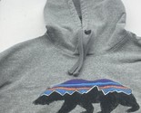 Patagonia Hoody Grey Size Fits Roy Bear Large - $39.99