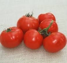 Oregon Spring Tomato 5 seeds - P 079 - $1.99