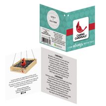 Cardinal Tray Bird Feeder with Sentiment Hanging Wooden 9.8" Square Mesh Bottom image 3