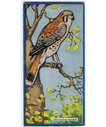 Cowan Co Toronto Card Sparrow Hawk Canadian Bird Series - $4.99