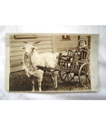Vintage Photo Postcard Boy in Goat Drawn Cart - $19.99