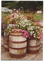 ACEO ATC Art Card Original Photograph Wood Barrel Daisies Pansy Flowers - $3.50