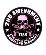 NEW Purple 2nd Amendment  America&#39;s Original Homeland Security Patch - $5.23