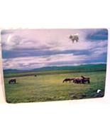  Magnetic Memo Board Horses in Pasture - $25.99