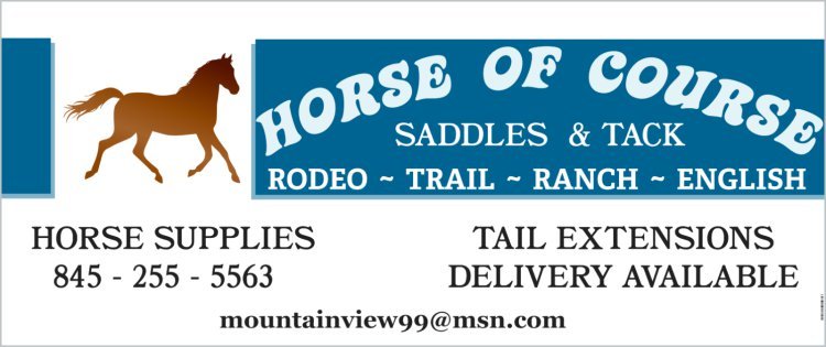 Louis Vuitton bridle  Western horse tack turquoise, Barrel racing tack  rodeo, Western horse tack