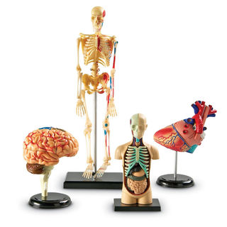 Preview image of an Educational item