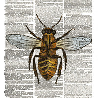 Preview image of a Mixed Media & Collage item