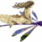 DragonflyTreasure's profile picture