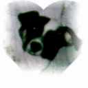 wyocowgirl1's profile picture