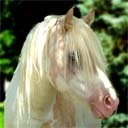 TheDreamspinner's profile picture