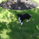 jaxx's profile picture