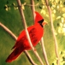 harrisons2's profile picture