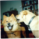 daxasia's profile picture