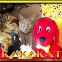 Kokokat's profile picture