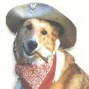 noodles886's profile picture