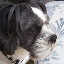 jinx'stuff's profile picture
