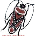Elegantinsects's profile picture