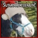 Suthrnhorsenut2's profile picture