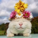 AnnsCloset's profile picture