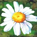irinart's profile picture