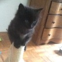jenice29h's profile picture